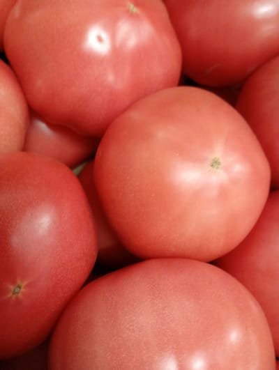 The image presents a close-up, top-down view of a dense pile of fresh, ripe tomatoes. The primary subjects are numerous reddish-pink tomatoes, tightly packed together and filling the entire frame.
The tomatoes are predominantly a soft, uniform pinkish-red color, indicating ripeness. They are round to slightly oblate in shape, with smooth, glossy skins that reflect ambient light, creating bright, soft highlights on their surfaces. Several tomatoes clearly show the small, green or brownish remnants of their stem scars, particularly visible on the central and lower-left tomatoes in the main image, and highlighted in some of the cropped views. The texture of the skin appears unblemished and firm.
No specific activity or event is taking place; the image is a still life showcasing the produce, possibly awaiting sale or preparation. The lighting appears soft and diffused, likely indicating an indoor setting or an overcast outdoor environment, as evidenced by the even illumination and gentle reflections rather than harsh shadows. There are no discernible time of day or weather cues, nor any visible emotions or people. No text is visible in the media file. The context provided indicates the location is Kabile, Bulgaria.