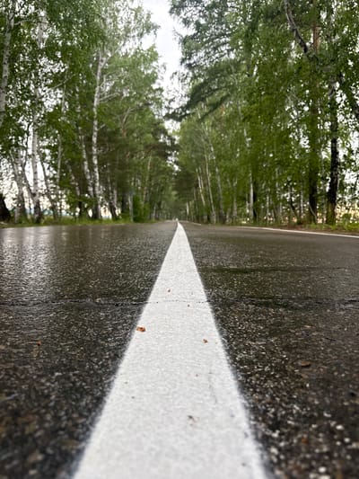 A low-angle shot captures a wet asphalt road lined with trees on either side, creating a tunnel-like effect. The road has a prominent white line down the center, reflecting the overcast sky. The trees are a mix of birch with white trunks and darker foliage, and other deciduous trees with green leaves. The ground is damp and reflective, with small debris scattered on the surface. The scene suggests a recent rainfall. The location is identified as Savvateevka, Russia. There are no people or animals visible in the image. The overall atmosphere is tranquil and slightly melancholic due to the gray weather.