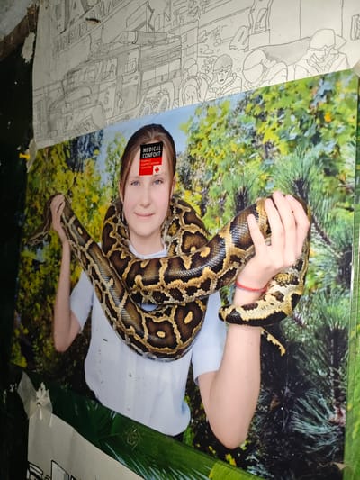 The image shows a poster of a young girl with a boa constrictor wrapped around her neck and shoulders. The poster is placed in a rural setting, possibly in or near Akhmetovskaya, Russia, as indicated by the presence of what appears to be a drawing of a fire truck and people in uniform on paper tacked above the poster. The drawing is in black and white and seems to depict a scene related to emergency services or military personnel. The poster itself is colorful, showing a girl with blue eyes and light brown hair, wearing a white shirt. The snake has a brown and yellow patterned skin. There's a small rectangular sticker on the girl's forehead with the text "MEDICAL COMFORT" and a red cross symbol. The overall environment appears to be somewhat dilapidated, with peeling paper and debris visible in the foreground.