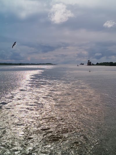 The image depicts a wide, calm body of water under a cloudy sky. Sunlight glints off the water's surface, creating a shimmering effect. In the distance, a line of trees marks the horizon, with a few structures visible on the right side of the frame, including what appears to be a lighthouse or navigational marker and a larger building. A large ship is also visible in the distance, to the left of the structures. A single bird is in flight in the upper left quadrant of the image. The scene appears to be a natural landscape with some man-made elements, suggesting a harbor or a river leading to a larger waterway. The overall impression is one of a serene, possibly coastal, environment.