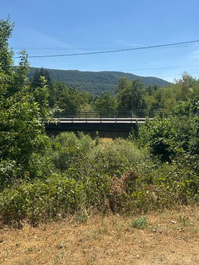In the city of Coteaux du Lizon, France, a stone bridge spans across a dry creek bed, its concrete deck bordered by a dark metal railing. Lush green foliage, including trees and bushes, partially obscures the bridge and the ground, which is covered in dry, brown grass. In the background, rolling hills covered in dense green trees rise beneath a clear blue sky, with power lines strung across the horizon. The scene appears to be a daytime view, bathed in bright sunlight.