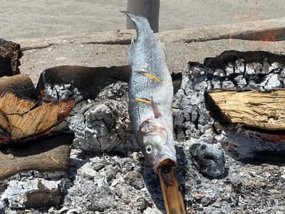 A whole fish, skewered on a wooden stick, is being cooked over hot coals and burning wood. The fish is silver with a slightly iridescent sheen and has two yellow slices inserted into its body. It is positioned upright, with its head facing downwards, resting in the center of the embers. The surrounding area is filled with charred wood logs and a light gray ash, indicative of a campfire or barbecue. In the background, a neutral-colored surface, possibly a path or a beach, is visible. The scene suggests an outdoor cooking event, likely a picnic or a meal prepared at a beachside location in San Roque, Spain, given the sunny lighting and rustic setting. There are no people visible in the image.