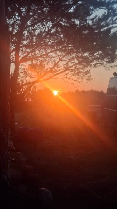 This is a vertical, eye-level, medium shot of a sunset in a rural area, likely within the Навасвержанскі сельскі Савет in Belarus. The sun is a bright, orange orb near the center of the frame, low on the horizon, casting a strong orange glow and lens flare across the scene. Silhouetted against the sunset are the branches of a large pine tree on the left and a line of trees in the background. In the mid-ground, some red and dark-colored objects are partially visible amongst the foliage, possibly containers or refuse. A dark-colored vehicle, possibly an SUV or van, is visible on the right side of the frame. The foreground consists of dark, uneven ground, with some rocks and debris. The overall atmosphere is hazy and illuminated by the warm light of the setting sun.