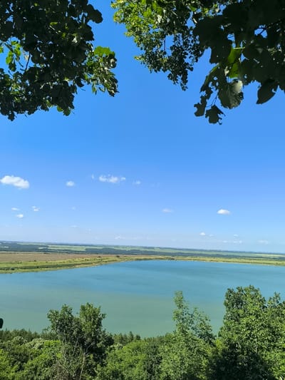 A high-angle panoramic landscape image, captured in Raianovtsi, Bulgaria, displays a large turquoise-blue body of water centrally positioned, flanked by cultivated fields and distant forests. The immediate foreground is partially obscured by dark green tree foliage, which frames the upper left and right corners of the frame. Some leaves in the foreground show small perforations consistent with insect damage. Below the visible body of water, a dense green forest canopy forms a lower boundary. Beyond the water, an extensive agricultural plain, characterized by variegated green and brown fields, stretches towards a distant tree-lined horizon. The sky is bright, clear blue with a few scattered small white cumulus clouds. No individuals or specific human activities are discernibly depicted within the scene.