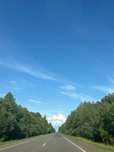 An asphalt road, marked with white lines, recedes into the distance under a clear blue sky with wispy white clouds. The road is flanked by dense green trees on both sides, creating a natural tunnel effect. The overall scene suggests a rural or natural landscape, possibly a highway or a country road in the Tarnowski Selski Sovet, Belarus, during daytime. There are no people or man-made structures visible in the immediate vicinity, apart from the road itself.