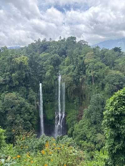 A lush, verdant forest cascades down a hillside under a cloudy sky. A multi-tiered waterfall flows through the dense foliage, creating streaks of white against the dark green backdrop. Bright yellow flowers bloom on the right side of the image, contrasting with the surrounding greenery. The image conveys a sense of natural beauty and tranquility.