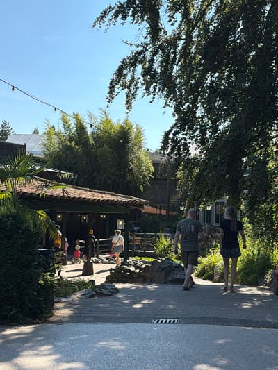 The image captures a sunny outdoor scene at the city of Heijen, Netherlands. In the foreground, a paved walkway with a drain grate leads towards a path where two individuals, a man and a woman, are walking away from the camera. The man is wearing a green t-shirt and shorts, while the woman has on a black t-shirt and patterned shorts.
The path they are walking on is lined with rocks and lush greenery, including tall bamboo-like plants and trees. To the left, a building with a tiled roof and outdoor lighting is visible, with several people, including children, near its entrance. The overall environment suggests a recreational area, possibly a park or an amusement park, given the presence of buildings, pathways, and landscaping. The sky is clear and blue, indicating good weather.