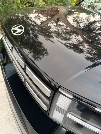 A close-up, slightly angled shot shows the front of a black car, focusing on the hood emblem and the headlight assembly. The car's hood is highly reflective, mirroring a tree with prominent branches, suggesting it is outdoors. A silver emblem with a circular design and an "S" shape is visible on the left side of the hood. Below the emblem, a portion of the car's grille features horizontal chrome accents. The right side of the image shows a detailed view of the car's headlight, which has a modern, geometric design with textured internal elements and illuminated sections. The surrounding environment includes greenery and what appears to be pavement, indicating an exterior setting. No people are visible in the image.