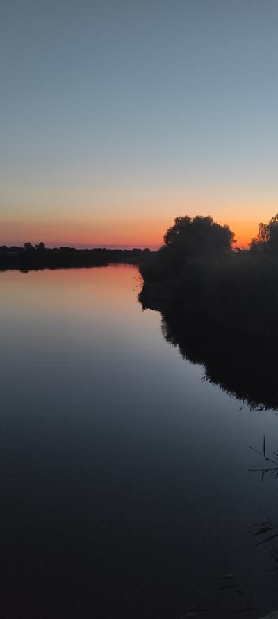 This is a vertical, close-up, high-angle photograph of a reflection in water during sunset. The sun is low on the horizon, casting a warm orange and pink glow across the sky, which is reflected in the dark, still water. A silhouetted tree line and vegetation line the edge of the water, their dark shapes mirrored in the water. The water itself is a deep blue-grey, with subtle ripples disturbing the reflection of the sky and shoreline. The overall mood of the image is peaceful and serene, with the soft colors of the sunset and the stillness of the water creating a sense of calm. The image appears to have been taken in an outdoor setting, likely near a body of water like a lake or river. The time of day is clearly sunset, given the colors in the sky and the low angle of the light. No people or text are visible in the image. The location context provided is Kobelyachok, Ukraine, which is consistent with the natural landscape depicted.
