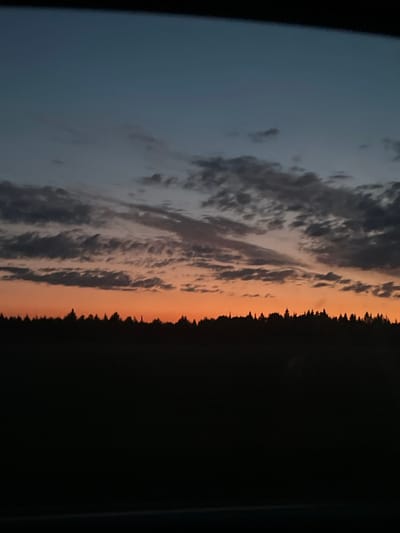 A silhouette of a dense forest of coniferous trees stretches across the bottom of the image. Above the treeline, a vibrant orange band of sky is visible, fading into a dusky blue and then a dark twilight sky. Scattered clouds, tinged with grey, drift across the upper portion of the sky. The top of the image is obscured by a dark, horizontal band, suggesting it was taken from indoors or through a window. The scene captures the atmospheric beauty of a sunset or twilight in Sidorovy Gory, Russia.