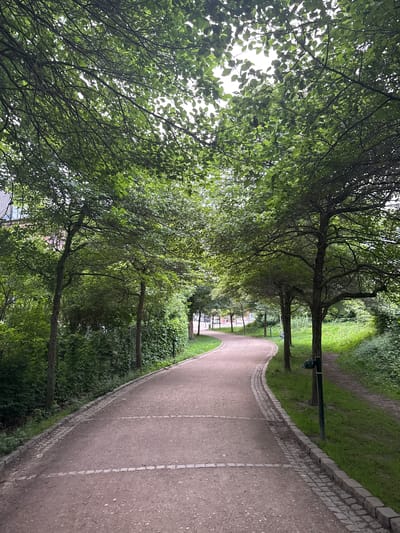 The image depicts a curved park path made of reddish-brown gravel, bordered by cobblestones and grass. Trees with lush green foliage line both sides of the path, creating a canopy overhead. The path appears to be in a park or a wooded area within an urban setting, as suggested by a building visible through the trees on the left side of the image. The lighting indicates it is daytime, with sunlight filtering through the leaves. A dark green trash receptacle is visible next to a tree on the right side of the path. The scene conveys a sense of tranquility and nature within a city. Based on the distinctive trees and path design, this location is likely Frederiksberg Gardens in Frederiksberg, Denmark.