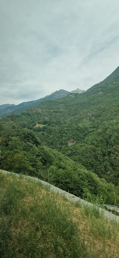 The image depicts a lush, green mountainous landscape under a cloudy sky. The foreground features a steep embankment covered in dry grass and sparse green vegetation, with a light-colored concrete barrier running along the edge of a road that curves away to the right. Beyond the embankment, the mid-ground and background are dominated by dense, verdant forests covering rolling hills and mountains. The trees are predominantly deciduous, with a mix of lighter and darker green foliage. In the far distance, the peaks of several mountain ranges are visible, with some appearing rocky and bare while others are also forested. The overall scene conveys a sense of natural beauty and wilderness. There are no people or man-made structures visible in the immediate landscape, aside from the road and barrier in the foreground. The lighting suggests an overcast day, with diffused light creating soft shadows. Based on the context of Verrès, Italy, this image likely portrays the mountainous terrain surrounding the town, possibly a view from a road or elevated vantage point.