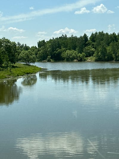 The image depicts a tranquil natural scene with a body of water in the foreground, reflecting the sky and the surrounding lush green trees. The water's surface is rippled, suggesting a gentle breeze. The shoreline, visible on the left and in the distance, is covered in vibrant green grass and dense foliage of trees. The sky is a clear blue with scattered white clouds, indicating fair weather. The overall impression is one of a peaceful, serene outdoor environment. The specific location in Приамурский, Russia, is not discernible from the visual information alone; the image captures a generic natural landscape. There are no people, animals, or specific man-made structures visible that would identify a particular urban or rural setting.