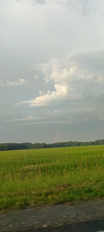 A low-angle, wide shot captures a verdant, green field stretching towards a dense, dark green forest that forms a distant horizon. The field is characterized by lush grass and sparse, small white flowers, with a blurred effect suggesting motion. Above the field, the sky is a blend of muted grays and whites, with soft, scattered clouds. A faint, thin rainbow arcs subtly in the upper right portion of the field, near the treeline. The foreground features a dark, textured road, possibly gravel, also blurred due to movement. The scene is devoid of any human presence or structures, evoking a natural, rural landscape. The image is consistent with a view from a moving vehicle on a road in a rural area, with the location identified as Malyshevo, Russia.