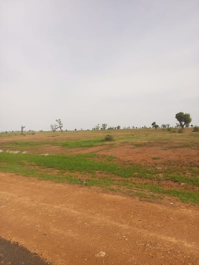 This media file depicts an outdoor, natural scene in Baccure Kofare, Nigeria. The foreground is dominated by a reddish-brown dirt road, suggesting a rural or semi-rural environment. Beyond the road, a grassy field stretches out, interspersed with patches of reddish soil. A small, muddy puddle is visible on the left side of the field, indicating recent rainfall or a natural water source.

Scattered throughout the field are several trees. Some are sparse and gnarled, while others are fuller and greener, adding variety to the landscape. The trees appear to be native species adapted to the local climate. In the distance, a line of trees stretches across the horizon, suggesting a more densely vegetated area or the edge of a forest.

The sky is overcast with a pale, uniform grayness, suggesting a cloudy or hazy day. There is no direct sunlight visible, and the overall lighting is soft and diffused. This type of weather is common in certain seasons in Nigeria and can contribute to a serene or slightly somber atmosphere.

No people or specific objects are clearly identifiable in the scene, emphasizing the natural landscape. The activity taking place is simply the passage of time in a natural setting. The location cues, such as the reddish soil and the types of trees, are consistent with an African savanna or similar environment. There is no visible text in the media file. The overall impression is one of a quiet, expansive rural landscape under a gray sky.