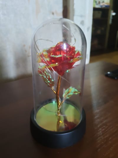 A red artificial rose with gold and green iridescent petals is encased in a clear glass dome atop a black circular base. Thin, white string lights are wrapped around the stem and petals. The dome and rose sit on a brown wooden table. In the background, a textured off-white wall is visible, with a blurry shelving unit in the far right of the frame. This image was taken in the city of Syzran, Russia.