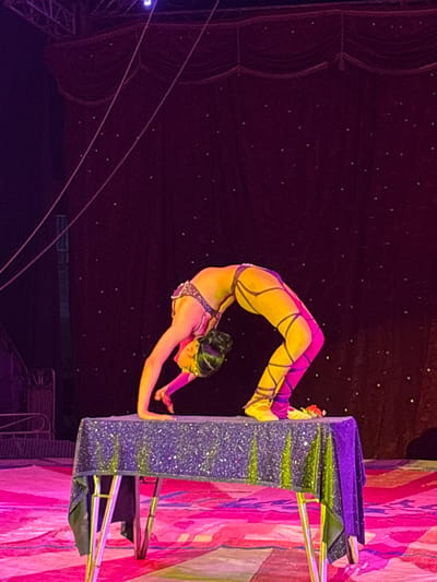 A contortionist performs on a stage during a circus show, possibly in Tejalpa, Mexico. The background appears to be a dark, starry backdrop with red curtains on the left. The contortionist is in a yellow and purple outfit, bent backwards with her hands on a tall structure covered in glitter. The structure has wooden planks attached. The right of the frame has pink and purple fabrics behind the structure.
