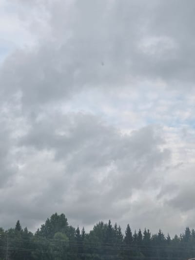 The image shows a dense line of green trees, primarily coniferous with some deciduous trees mixed in, silhouetted against a cloudy sky. In the foreground, several horizontal power lines stretch across the scene, supported by unseen poles. The sky is filled with overcast, gray clouds, with only a small patch of lighter sky visible towards the top right. There are no people or animals visible in the image, and the environment appears to be rural or on the outskirts of a populated area, given the presence of both trees and power lines. The image composition suggests it was taken from a low vantage point, looking upwards at the sky and the tree line.