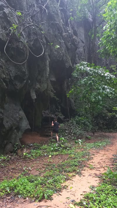 The image depicts a rocky cliff face covered in vegetation, with a trail and a person in the foreground.
**Setting:** The location appears to be a natural area in or near Ban Pak Ra, Thailand, judging by the terrain and vegetation. The scene features a rock cliff covered in green plants and vines, suggesting a tropical or subtropical environment. There is a narrow dirt trail along the right edge of the image.
**People:** A single individual is visible standing on the trail. They are wearing a dark-colored top and shorts, with shoes.
**Objects:** There are ropes or vines hanging down the cliff face.
**Actions/Interactions:** The person is standing on the trail, possibly observing the cliff face.
**Environment:** The scene is lush and green. The rock face is moist, indicating recent rain or humidity.