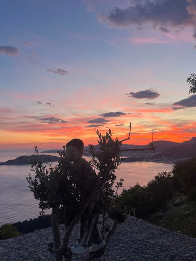A sunset view is captured from an elevated vantage point in Vojnići, Montenegro. The sky displays a gradient of colors, from pink and purple to orange and yellow, with scattered clouds. A tree with green foliage is situated in the foreground, slightly obscuring the view. In the distance, a coastline is visible with a cityscape along the water's edge, illuminated with artificial lights. The surface where the viewer is standing appears to be covered with small stones.