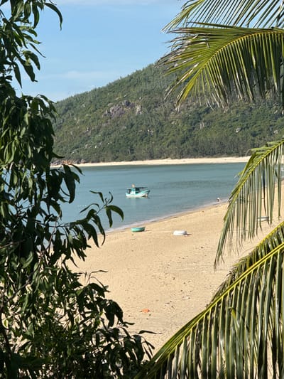A tranquil beach scene unfolds in Song Cau, Vietnam, framed by lush green foliage. In the foreground, a dense cluster of dark green leaves partially obscures the view, while on the right, a vibrant palm frond with yellow-green streaks adds a tropical touch. The sandy beach, a warm golden hue, stretches across the middle ground, dotted with a few small, colorful objects, possibly buoys or debris. A lone, small green boat rests on the sand near the water's edge.
The turquoise water of the sea gently laps at the shore, creating a serene contrast with the golden sand. A small, white and green boat with a yellow flag is anchored in the calm waters, its reflection slightly visible on the surface. In the distance, a majestic, tree-covered mountain rises, its slopes a rich tapestry of green interspersed with grey rocks. The sky above is a clear, bright blue, with a hint of wispy clouds. The overall impression is one of peaceful natural beauty.