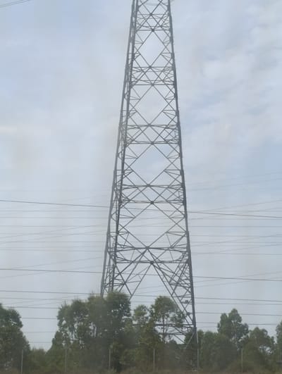 The image captures a tall, lattice-style electricity pylon dominating the frame against a hazy, overcast sky. Multiple power lines are strung horizontally across the mid-ground. The lower portion of the image shows a dense line of trees, likely eucalyptus given the region, with their green foliage partially obscuring a fence or barrier running along the ground. The scene suggests an outdoor, possibly semi-rural or industrial edge location within the city of Palmela, Portugal, characterized by infrastructure and natural elements.