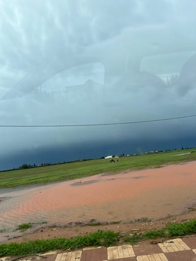 The scene, located in Ain Johra, Morocco, depicts a broad outdoor landscape under a heavily overcast sky, characterized by thick, dark grey storm clouds in the distance and lighter, wavy clouds higher up. The image is captured from inside a vehicle, with reflections of its interior structure and external elements, such as buildings and trees, visible on the glass surface.
In the immediate foreground, a checkered curb or sidewalk, featuring brown and off-white squares, extends horizontally along the bottom edge. Beyond this, a narrow strip of green grass and earth transitions into large, irregular puddles of reddish-brown, muddy water. These muddy water bodies occupy a significant portion of the lower half of the image and partially submerge a vast, flat green field that stretches into the middle ground.
In the middle distance on the green field, two bovines are visible; one is predominantly black and white, and the other appears darker, both standing or grazing. A single dark, thin utility wire or cable runs horizontally across the image at approximately mid-height. The background features a faint line of trees or sparse vegetation along the horizon, with indistinct outlines of distant buildings or structures visible beneath the dark cloud cover.