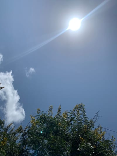 The image displays an upward-angled view of an outdoor scene under bright daylight, located in Kubi A, Nigeria. The upper two-thirds of the frame are occupied by a clear, light blue sky. A brilliant, intensely bright white sun is positioned in the upper right quadrant, emitting a prominent diagonal lens flare across the sky. A large, irregularly shaped white cumulus cloud mass is visible in the lower-left quadrant, with smaller, wispy white clouds higher and to its right. The lower third of the frame is filled with the dense, dark green foliage of a tree or large bush, featuring numerous clusters of small, bright yellow flowers throughout its canopy. No individuals, human activities, or man-made structures are present in the scene.