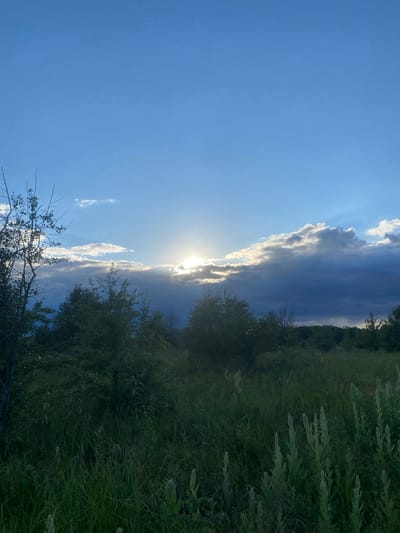 A vertical, medium-shot, eye-level photograph captures a rural landscape in the city of Matiashivka, Ukraine, under a partly cloudy sky at dusk. The sun is partially obscured by clouds, casting rays of light across the scene. The sky transitions from a clear, bright blue at the top to darker hues where the clouds gather. A dense line of green trees and foliage forms a middle ground, with taller trees on the left and a darker, more uniform treeline extending across the horizon. The foreground is filled with tall, green grass and other wild vegetation, some of which are lighter green and stand out from the darker grass. The overall atmosphere is serene and natural, devoid of human presence or activity.