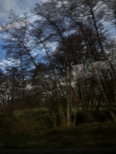 The image displays a blurred exterior scene, depicting a rural or semi-rural landscape, specifically located in Steinbourg, France, viewed from a moving perspective. The scene is dominated by a dense arrangement of deciduous trees, mostly appearing bare of leaves, suggesting a late autumn or winter season.

**Subjects and Objects:**
*   **Trees:** Numerous tall, slender trees with dark, visible trunks and intricate networks of bare branches occupy the majority of the frame, extending from the mid-ground to the top. The individual forms of the trees are elongated and smeared horizontally due to motion blur.
*   **Sky:** Patches of a clear blue sky, interspersed with wispy white and light grey clouds, are visible through and above the tree canopy, particularly in the upper left quadrant.
*   **Ground Cover:** A band of green vegetation or grass is visible at the base of the trees in the lower-middle portion of the image. This ground cover also exhibits significant horizontal motion blur.
*   **Foreground:** The very bottom edge of the image presents a dark, indistinct, heavily blurred area, likely representing the immediate foreground such as the ground or part of the viewing platform.
*   **Artifacts:** A faint, light-colored rectangular vertical streak is present on the right side of the image, potentially a reflection or glare artifact on the viewing surface (e.g., a window). Thin, dark, horizontal linear elements, possibly overhead wires, are faintly discernible against the sky in the upper left.

**Actions and Interactions:**
The pronounced horizontal motion blur across all elements indicates that the photograph was captured while the camera or the observer was in motion, likely traveling past the stationary landscape. There are no visible people or animals, nor any explicit interactions depicted within the frame.

**Environment:**
The environment is characterized by natural elements, primarily trees and sky, with some ground vegetation. The composition and blurring suggest a view from a vehicle traversing a wooded area or an adjacent open field.