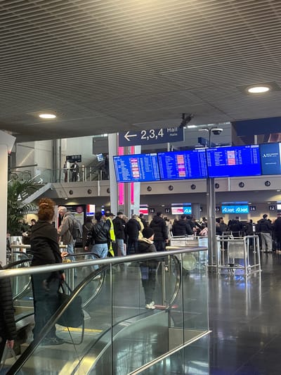 The image presents the interior of EuroAirport Basel Mulhouse Freiburg, located in Saint-Louis, France. The scene is an airport terminal characterized by a high, light-colored ribbed ceiling with recessed circular lighting and a dark, reflective floor.

In the mid-ground, two large blue digital departure boards display flight information, including destinations, flight numbers, and times, with "DEPARTURE" visible at the top; the time shown is approximately 10:28 or 10:29. Below these boards, multiple numbered check-in counters are visible, ranging from 12 to 18, with counters 14 and 15 prominently displaying "AJet" branding. An overhead sign indicates "← 2,3,4 Hall (Halle)." A surveillance camera is mounted above the departure boards.

Approximately 30-40 individuals, predominantly wearing winter jackets and coats, form queues in front of the check-in counters. One person within this crowd wears a yellow high-visibility vest. In the foreground, a woman with brown curly hair styled in a bun, wearing a black top and dark pants, ascends an escalator, carrying a dark bag in her left hand. Her back is oriented towards the viewer. Glass and metal railings border the escalator pathway. In the background, on an upper level, additional people are visible near a staircase or another escalator, and a large potted plant is situated near the foreground escalator. People are engaged in activities typical of an airport terminal, including standing, walking, and queuing. Metal stanchions are deployed for crowd management in the queuing areas. A partial sign on the right side indicates "SKYLOUNGE."