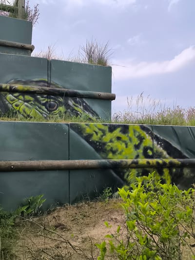 The image shows a tiered retaining wall in a sandy environment. The wall is constructed of green panels held in place by horizontal wooden beams. The panels feature a mural of a snake, with its eye visible on the top tier. The foreground is sandy with sparse vegetation. Grass grows on top of the wall. The sky is visible in the background and is cloudy. The location is Zandvoort, Netherlands.