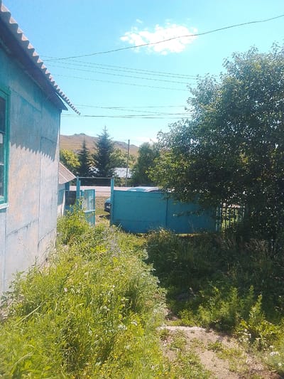 This is a medium-angle, slightly high-shot of a rural scene in Izgutty Ajtykov, Kazakhstan. On the left is the side of a light blue, textured building with a corrugated roof. To the right of the building is a pathway leading to a light blue metal gate and a larger metal enclosure, both partially obscured by overgrown green grass and weeds. A large, dark green tree with dense foliage stands to the right of the gate. In the background, a dirt road runs horizontally, with a dark-colored vehicle visible behind the gate. Further back, there are sparse trees and rolling hills under a clear blue sky with a few scattered white clouds. Power lines are visible in the upper portion of the image. The scene depicts a natural, untamed outdoor environment adjacent to a residential structure.