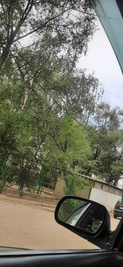 The image captures a view from inside a vehicle, looking outward towards a street scene in Bosteri, Kyrgyzstan. The foreground is dominated by the interior of the car, with a dark grey door panel visible at the bottom and a black side-view mirror on the right. The mirror reflects the surrounding environment, showing trees and the sky.

Beyond the car, the scene unfolds onto a dusty road. A green metal fence runs along the side of the road, separating it from an area with more trees and some structures that appear to be low buildings with white walls and dark roofs. The fence is constructed of vertical green poles and mesh netting.

Dominating the background are numerous trees with lush green foliage, their branches reaching towards a pale, overcast sky. Power lines are also visible, crisscrossing through the tree branches in some areas. A black car with a license plate is partially visible further down the road, indicating active traffic. The overall impression is that of a slightly overcast day in a moderately vegetated urban or semi-urban environment in Kyrgyzstan.