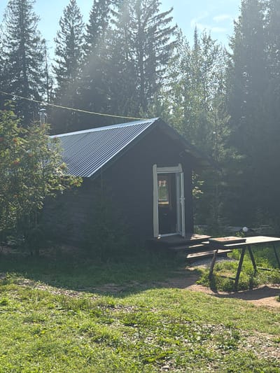 A dark wooden cabin with a corrugated metal roof sits nestled amongst tall evergreen trees. The cabin has an open door with glass panels, revealing a dimly lit interior. Steps lead up to the doorway, and a small porch area is visible. In front of the cabin, a wooden table with two tiers stands on a grassy area, with some scattered rocks and vegetation. The scene is illuminated by bright sunlight, creating lens flare in the upper portion of the image. The overall environment suggests a remote, possibly rural setting, consistent with a location like Kuliki, Russia, known for its natural landscapes.
