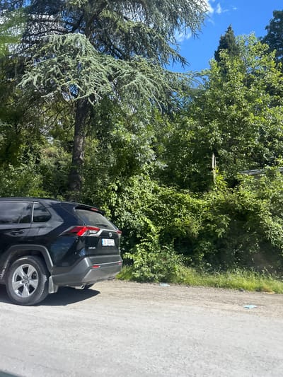 A black Toyota RAV4 is parked on a dirt road next to a lush green forest. The car's license plate reads "B 0535 TO". The road is rough and unpaved, with some scattered debris. The forest is dense with a variety of trees and vegetation. The sky is blue with a few white clouds. The overall impression is a quiet, natural setting with a modern vehicle present. The location is the city of Zvezditsa, Bulgaria.