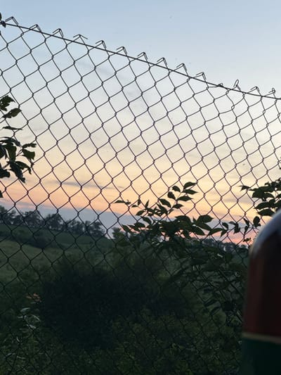 The image shows a chain-link fence in the foreground, with foliage and trees visible beyond it. The sky in the background displays a gradient of colors, transitioning from pale blue at the top to pink and orange hues near the horizon, suggesting it is either sunrise or sunset. The environment appears to be rural or semi-rural, with a grassy hill and dense vegetation. No people are present in the image. The scene is set in Krasivka, Ukraine.