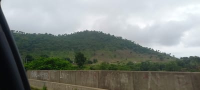 The image captures a panoramic view of a green, tree-covered mountain range under a cloudy sky in Gu, Nigeria. In the foreground, a concrete barrier with graffiti is visible. The mountain slopes are densely populated with various trees, creating a lush green carpet that extends upwards towards the crest. Some scattered trees stand out on the upper parts of the mountain, their branches reaching towards the overcast sky. The overall scene is one of natural beauty, with the imposing mountain dominating the landscape. The presence of the concrete barrier suggests this is a view from a road or highway, likely a scenic overlook or a pass through the mountainous terrain. The cloudy sky hints at possibly overcast weather or the approach of rain, contributing to a muted, natural lighting in the scene.
