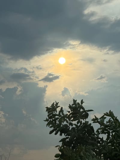 A view of the sky above Ryahovo, Bulgaria, features a bright, sunlit area with the sun partially obscured by clouds. Darker clouds are present in the upper portion of the frame, while lighter clouds are scattered across the sky. In the foreground, the dark green foliage of a tree branches into the frame from the bottom right.