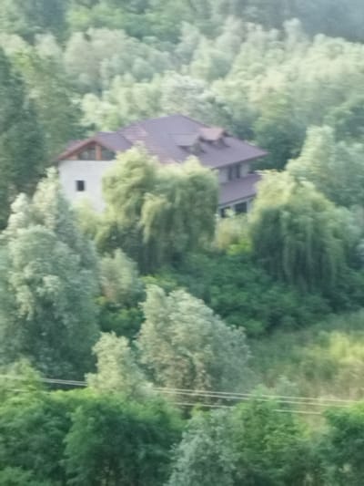 The image shows a house nestled amidst lush green trees in the city of Borcea, Romania. The house has a dark red tiled roof and a light-colored facade. A small, dark rectangular window is visible on the front of the house. Surrounding the house is a dense forest with various types of trees, creating a natural and somewhat secluded environment. The foliage is thick and varied in shades of green, suggesting a temperate climate. There are no people visible in the image. The scene is captured from an elevated perspective, giving a sense of looking down upon the house and its surroundings. Power lines can be seen in the background, indicating the presence of infrastructure within the otherwise natural landscape. The overall impression is one of a peaceful, possibly rural or suburban setting, dominated by nature.