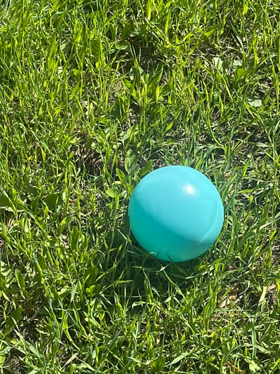 A light blue, spherical object rests on a patch of green grass. The grass blades are relatively long and thick, with visible variations in green hues due to sunlight. The scene appears to be outdoors during daylight hours. There is no evidence in the image that connects this scene to Areyskoye, Russia.