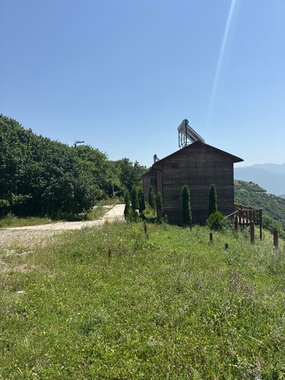 The image depicts a wooden house situated on a grassy hillside in Yenokavan, Armenia. The house has a dark wooden exterior, a sloped roof, and a solar water heater mounted on top. A wooden deck extends from the side of the house. The surrounding environment consists of lush green grass, wildflowers, and several evergreen trees planted in front of the house. A dirt road curves up the hill to the left of the house, bordered by dense foliage. In the background, rolling hills covered in green vegetation stretch towards a clear blue sky. The scene appears to be a tranquil, rural setting.