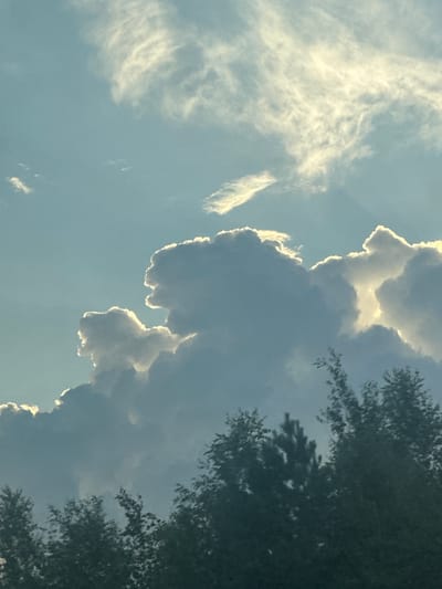 The image shows a cloudy sky above a line of trees. The clouds are lit from behind by the sun, creating a bright glow around their edges. Some of the clouds appear to be shaped like animals or faces. The trees are dark and silhouetted against the sky. The location is specified as Yarkovo, Russia, though no specific landmarks or identifying features are visible in the image to confirm this. There are no people or animals present in the image, and no actions or interactions are depicted. The environment is natural, consisting of sky and vegetation.