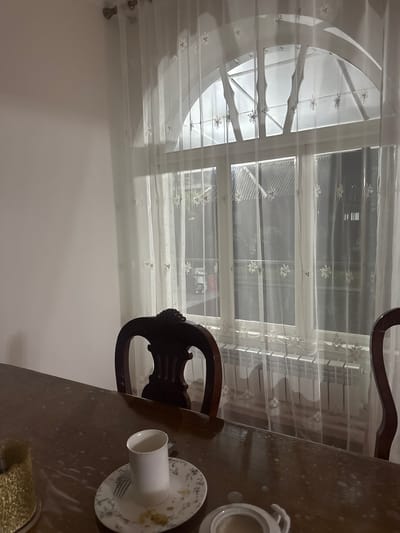 A coffee cup rests on a saucer on a wooden table. The table is speckled with what appear to be dried droplets of liquid. A fork lies on the saucer next to the cup. Behind the table is a window with sheer curtains decorated with snowflake patterns. The window is partially obscured by the curtains and blinds, revealing a view of what appears to be an outdoor scene, possibly a building or houses. The light coming through the window suggests it is daytime, but the overall lighting in the room is dim, perhaps indicating an overcast day or evening. A dark wooden chair with ornate carvings is visible to the left of the coffee cup, and part of another similar chair is visible to the left of the window. The scene appears to be indoors, possibly a dining room or living area. There is no visible text in the image.
