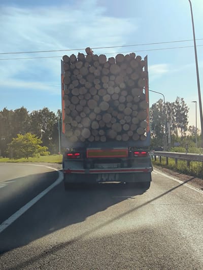 The image depicts the rear view of a logging truck heavily laden with cut logs. The truck is driving on a paved road, which curves to the left. The truck is silver and grey, with red taillights and reflective tape along the bottom. The word "JYKI" is visible on the rear of the truck. The logs are a mix of different sizes and appear to be stacked high and wide, filling the truck's trailer.
The setting appears to be a rural or semi-rural area, with a grassy verge and trees visible on the right side of the road. A metal guardrail runs alongside the verge. In the background, there are more trees, and beyond them, a bright blue sky with some wispy white clouds. The lighting suggests it is daytime, likely late afternoon or early evening, given the long shadows cast by the truck. There are utility lines visible stretching across the top of the frame, and a lamppost is present on the right. The overall impression is of a bright, sunny day. No people are visible in the image. The scene captures the movement of a vehicle transporting raw materials through a landscape.