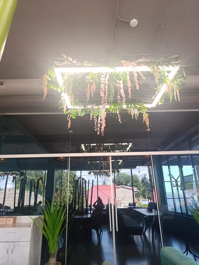 The image depicts the interior of a modern establishment, possibly a cafe or restaurant, with a large glass facade. A geometric light fixture, adorned with artificial greenery and pink floral accents, hangs from the dark ceiling. The glass walls reflect the exterior, revealing trees, buildings with red roofs, and a cloudy sky. Inside, the reflection shows tables, chairs, and dimly lit decorative elements. A person is seated in a chair within the reflection, looking towards the right. In the foreground, a tall potted green plant stands near a white cabinet with silver handles. The flooring appears to be dark and reflective. The establishment is located in Florești, Moldova.