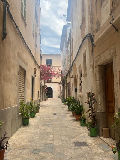 The image depicts a narrow, cobblestone street in Pollença, Spain, lined with old, ochre-colored buildings. Potted plants are placed along the sides of the street, adding touches of greenery and color. The architecture features traditional shutters and wooden doors. Overhead, electrical wires crisscross between buildings. In the background, a vibrant pink bougainvillea bush is in bloom, cascading over a balcony. The sky is overcast, with clouds suggesting a partly cloudy day. The scene is quiet and appears to be unpopulated.