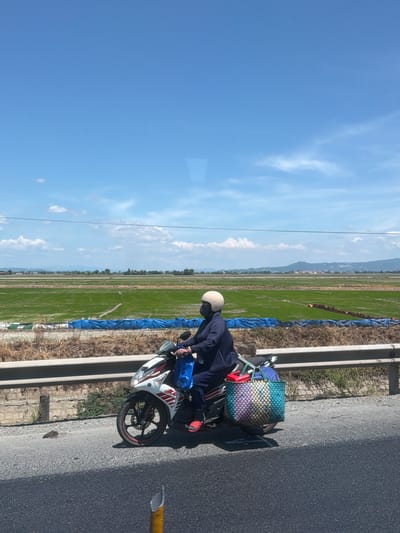 A person is riding a white and red motorcycle on a paved road, carrying two large bags, one blue and one multicolored, on the back. The person is wearing a dark blue outfit, a light-colored helmet, and red shoes. In the background, there is a large green field, possibly rice paddies, with blue coverings in some areas. Mountains are visible in the distance under a bright blue sky with scattered white clouds. The scene appears to be located in Tuy Hoa, Vietnam, given the agricultural landscape and typical mode of transportation. The road has a grey asphalt surface, and a metal guardrail separates it from the field. A small frog is visible on the road to the left of the motorcycle.