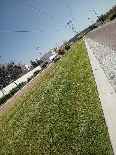 The image displays an outdoor urban or suburban scene in La Venta, Mexico, captured with a diagonal orientation. A wide, well-maintained strip of green grass, exhibiting minor yellowish discoloration in areas, dominates the foreground and mid-ground. To the immediate right of the grass, a concrete curb delineates a paved roadway or path constructed from reddish-brown interlocking pavers. Parallel to the grass on the left side, a narrower reddish-brown path is visible, bordered by a low white wall and green shrubs. In the mid-ground on the left, several white-walled structures with reddish-brown roofs are partially visible behind vegetation. Multiple dark-colored lampposts are spaced along the paved areas. A prominent metal lattice power transmission tower stands in the upper right background, from which numerous power lines extend horizontally across a clear blue sky. No individuals, animals, or vehicles are present.