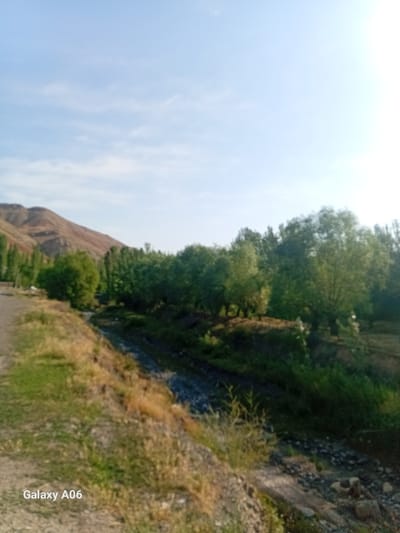 The image depicts a natural landscape with a clear sky and a mountain in the background. In the foreground, there is a dirt road, a stream, and a variety of trees and vegetation. The scene appears to be located in a rural or mountainous area. There are no people or any specific identifiable man-made structures other than the dirt road. The lighting suggests it is daytime, likely morning or late afternoon given the angle of the sun. The overall impression is one of a serene, undeveloped natural environment.